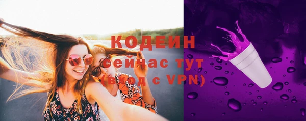 хмурый Абаза