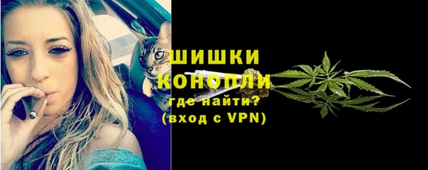 прущая мука Инсар