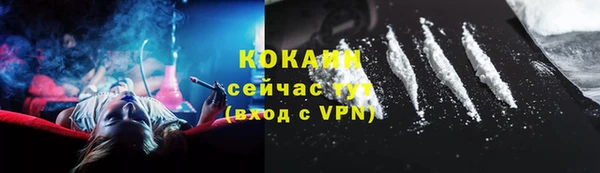 хмурый Абаза
