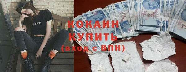 хмурый Абаза