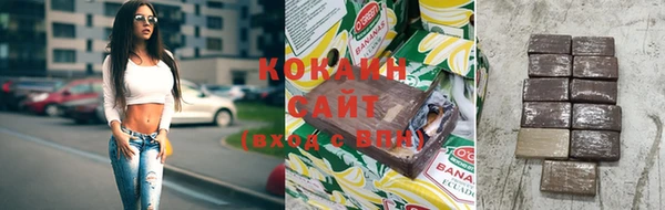 хмурый Абаза