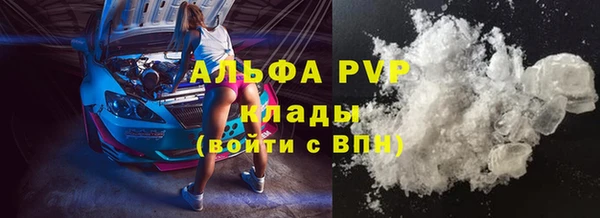 хмурый Абаза