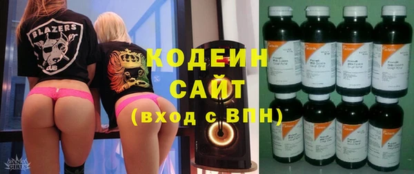 хмурый Абаза
