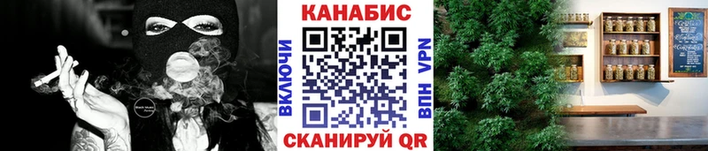 Бошки марихуана гибрид  кракен как войти  Берёзовка  магазин продажи наркотиков 